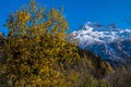 Beautiful view of the snowy rocky Alps under the blue sky in France