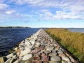 Beautiful view of the stone pathway leading to a lake in Wyspa Sobieszewska, Poland Royalty Free Stock Photo