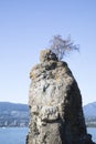 Beautiful view of the stone in Stanley Park in Vancouver Royalty Free Stock Photo