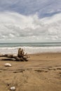 Beautiful view of stones and old trunk on the beach with the sea and cloudy sky in background Royalty Free Stock Photo