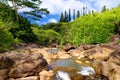 Beautiful view of a stream flowing between rocks, located along famous Road to Hana on Maui island, Hawaii Royalty Free Stock Photo