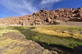 Beautiful view of the stream between mountains full of lush vege Royalty Free Stock Photo