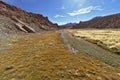 Beautiful view of the stream between mountains full of lush vege Royalty Free Stock Photo