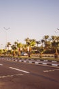 Beautiful view of the street in Egypt with a palm tree alley. Transport street with asphalt road. Sunny summer day with blue sky Royalty Free Stock Photo