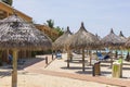 Beautiful view of sun beds and umbrellas on sandy beach on first line of hotel beach.