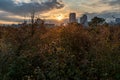 Beautiful view of sunlight covering some flowers in a sunny day