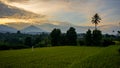 Beautiful view of the sunrise sky when the weather is cloudy in the rice fields Royalty Free Stock Photo