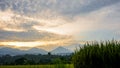 Beautiful view of the sunrise sky when the weather is cloudy in the rice fields Royalty Free Stock Photo