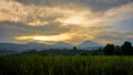 Beautiful view of the sunrise sky when the weather is cloudy in the rice fields Royalty Free Stock Photo