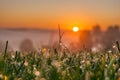 Beautiful view of the sunrise in Venango Valley, Northwest Pennsylvania