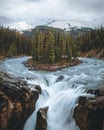 Beautiful view of Sunwapta Falls - Jasper National Park, Canada Royalty Free Stock Photo