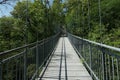 Beautiful view of a suspension bridge through the woods Royalty Free Stock Photo