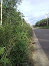 beautiful view of the swamp road around the countryside