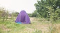 Beautiful view. Tent in the summer forest