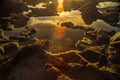Beautiful view of tidepools reflecting on a nice sunset sky Royalty Free Stock Photo