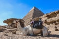 Beautiful View to the One of the Wonders of the Ancient World - Great Pyramids of Giza under Blue Sky and Day Lights of the Sun Royalty Free Stock Photo