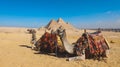 Beautiful View to the One of the Wonders of the Ancient World - Great Pyramids of Giza under Blue Sky and Day Lights of the Sun Royalty Free Stock Photo