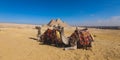 Beautiful View to the One of the Wonders of the Ancient World - Great Pyramids of Giza under Blue Sky and Day Lights of the Sun Royalty Free Stock Photo