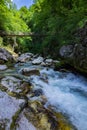 Beautiful view of Tolmin gorges near Tolmin (Slovenia)