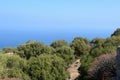 Beautiful view from the top of La Rocca mountain near the town of Cefalu. Italy Royalty Free Stock Photo