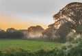 Beautiful view of a tractor cultivating field during sunset Royalty Free Stock Photo