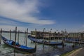 Beautiful view of the traditional Venetian gondolas with a seagull.