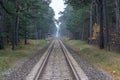 Beautiful view of train tracks surrounded by an evergreen forest during daytime Royalty Free Stock Photo