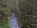 Beautiful view of tranquil gorge Johnston Canyon in Banff National Park, Alberta, Canada in the Rocky Mountains in autumn. Royalty Free Stock Photo