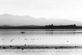 Beautiful view of Trasimeno lake at sunset with birds on water, a man on a canoe and Castiglione del Lago town in the Royalty Free Stock Photo