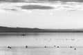 Beautiful view of Trasimeno lake at sunset with birds on water, a man on a canoe and hills on the background Royalty Free Stock Photo