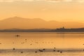 Beautiful view of Trasimeno lake Umbria, Italy at sunset, with orange tones, birds on water, a man on a canoe and Royalty Free Stock Photo