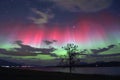 Beautiful view of a tree by a lake under the colorful northern lights in the sky Royalty Free Stock Photo