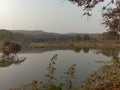 Beautiful view of the tree reflecting in lake middle of forest Royalty Free Stock Photo