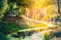 Beautiful view trees and small canal scene nature background