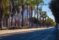Beautiful view of trees through the streets of Malaga Royalty Free Stock Photo