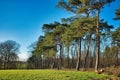 beautiful view of trees under the blue sky, Maransart, and Plancenoit, Lasne, Belgium