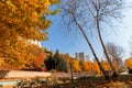 Beautiful view of trees with various colours and buildings on the background in Dikmen Valley | Dikmen Vadisi natural park in autu