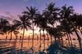 Beautiful view of tropical hotel, palm trees, swimming pool, sunset Royalty Free Stock Photo