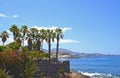 Beautiful view with tropical palm trees and flowers near the ocean beach in Costa Adeje,Tenerife,Canary Islands, Spain. Royalty Free Stock Photo