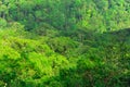 Beautiful view of tropical rainforest at Pha Diao Dai cliffs of Khao Yai national park in Thailand. World heritage.