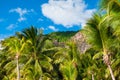 Beautiful view of the tropical resort. Le Morne mountain, coconut palms and blue sky Royalty Free Stock Photo