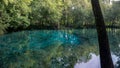 Beautiful view of the turquoise crystal clear waters of the lagoon of Ginnie Springs, Florida. USA