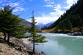 Beautiful view of the turquoise river in the mountains with forests on the banks.