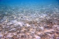 Beautiful view of underwater world with dead coral reefs. Blue water and white sand bottom. Snorkeling. Indian Ocean, Royalty Free Stock Photo