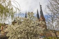 Beautiful view of Uppsala Cathedral Church through spring trees on cloudy sky background. Royalty Free Stock Photo