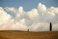 Beautiful view of Val d'Orcia in Tuscany Royalty Free Stock Photo