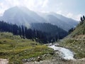 Beautiful view of the valley and Sheshnag river in Chandanwari