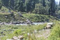 Beautiful view of the valley and Sheshnag river in Chandanwari