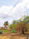 Beautiful view of Village in south India