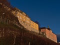 Vineyards of Staatsweingut Meersburg and historic buildings with pink and yellow facades in the afternoon.